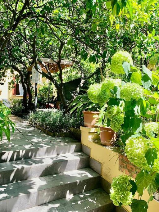 Casa Adele Apartamento Monterosso al Mare Exterior foto